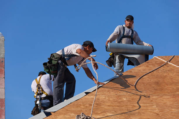 Best Roof Waterproofing Services  in Pleak, TX