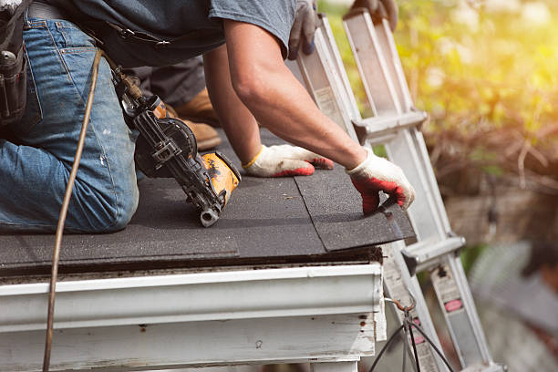 Roof Gutter Cleaning in Pleak, TX